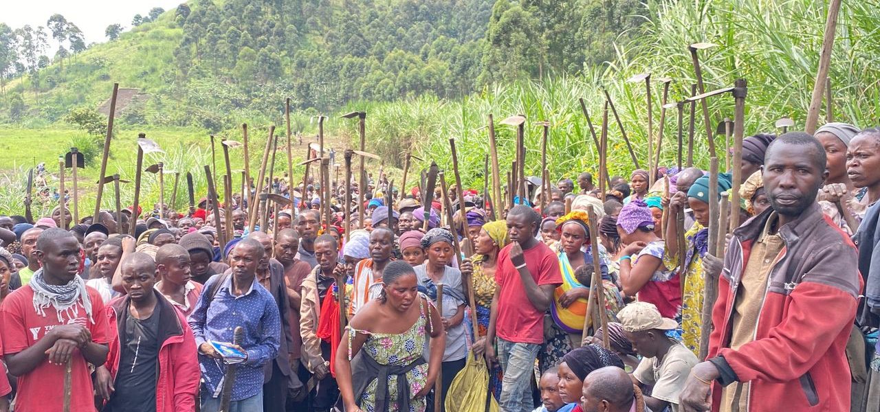 Sécurité alimentaire — Rutshuru (500 ménages)