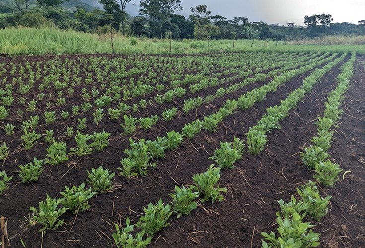 Mission d&rsquo;évaluation humanitaire au Nord-Kivu 2025 : résultats et recommandations