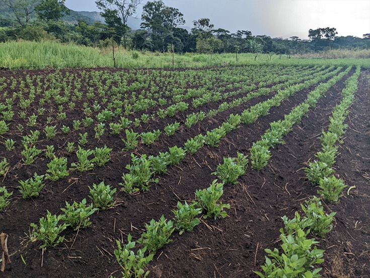 Mission d&rsquo;évaluation humanitaire au Nord-Kivu 2025 : résultats et recommandations