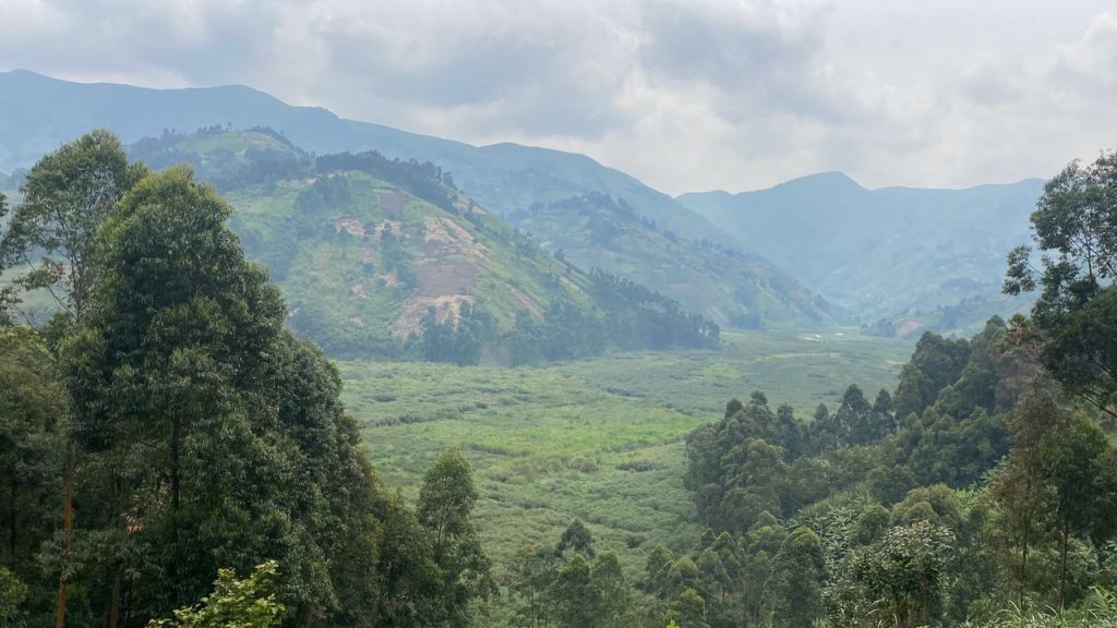 Bureau terrain COPAD installé à Pinga — Territoire de Walikale