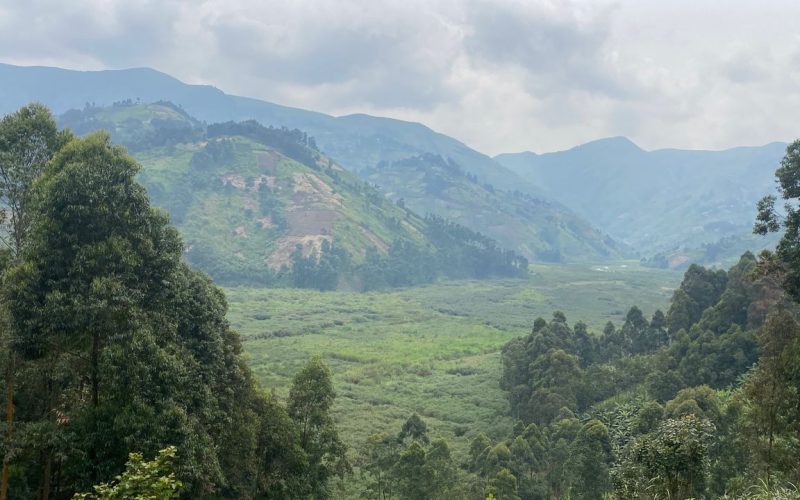 Bureau terrain COPAD installé à Pinga — Territoire de Walikale