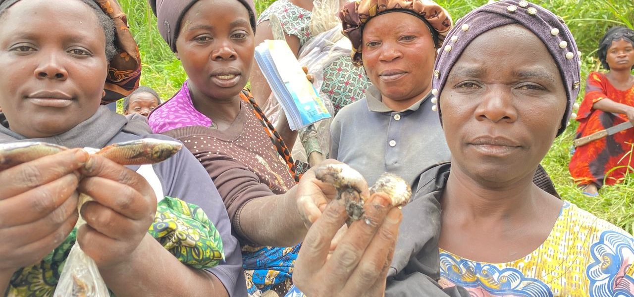 Appui à 625 femmes — 25 groupes AVEC à Rutshuru et Masisi