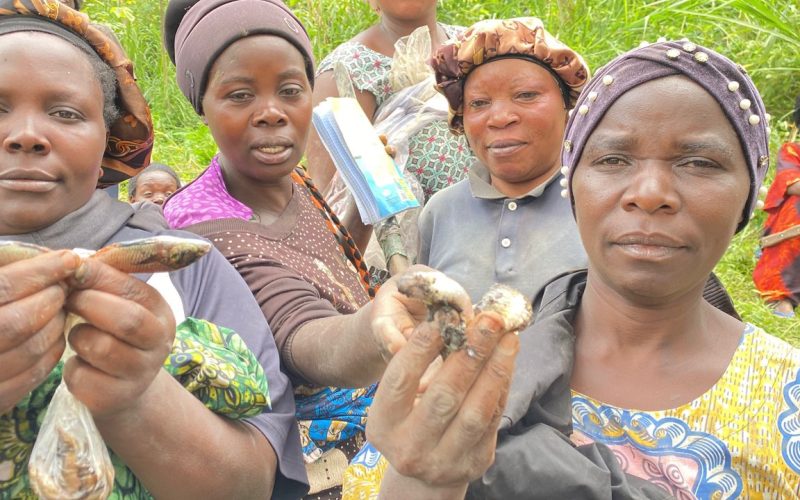 Appui à 625 femmes — 25 groupes AVEC à Rutshuru et Masisi