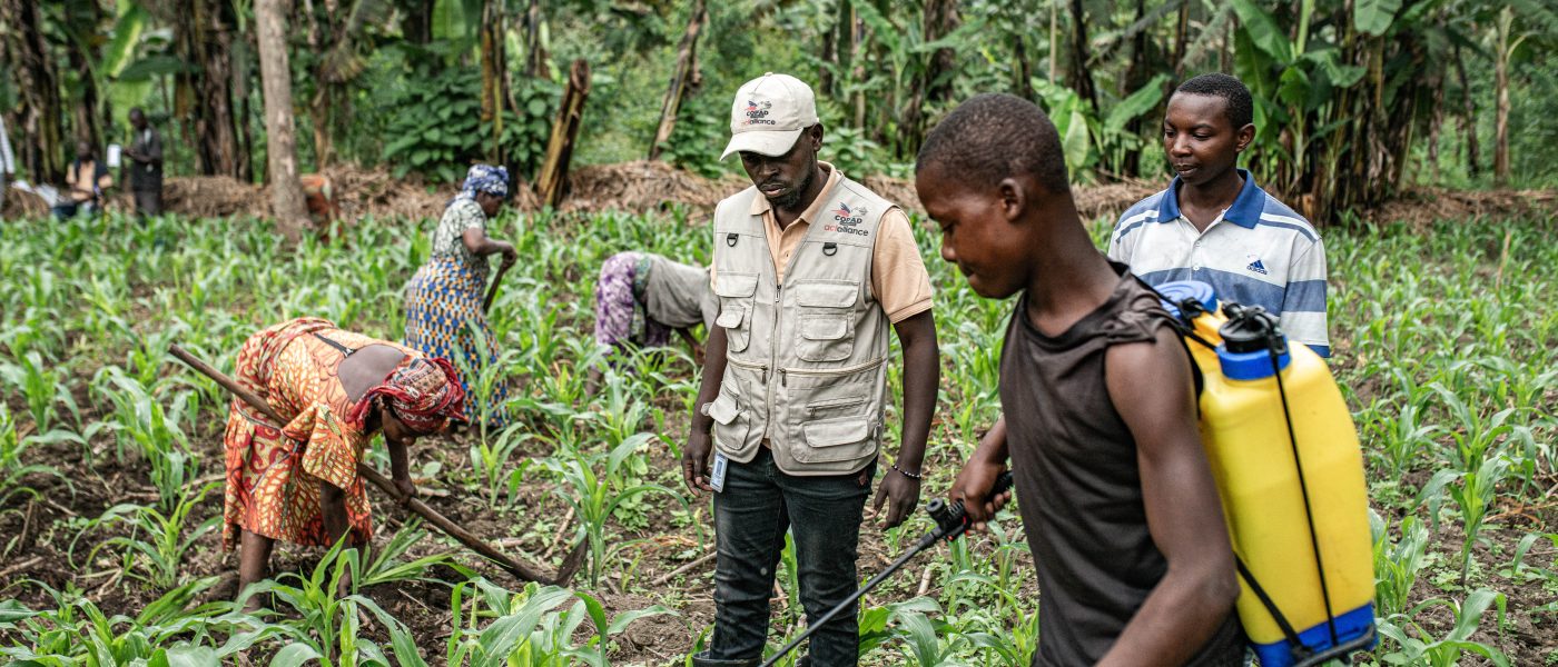 Après les combats, le retour aux champs à Masisi